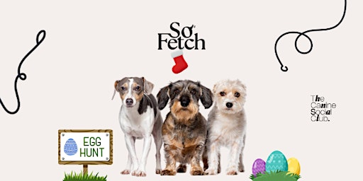 Mini Meet-Up (under 20lbs) - EASTER EGG HUNT! | So Fetch Canine Social Club