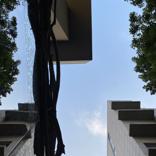 강남 한복판의 대나무숲, 카페 키츠네