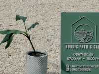 Nordic Farm & Cafe