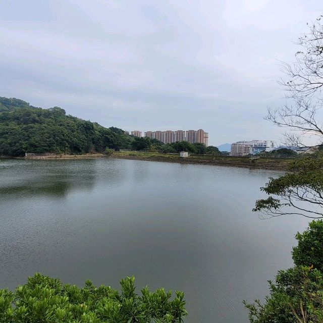 香港第一個興建的水塘 ～ 薄扶林水塘 