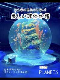 【兵庫】映えすぎる最新水族館『atoa』潜入レポ