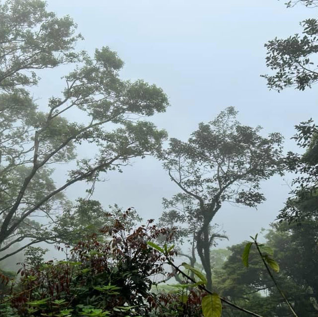 疫下山頂體驗🫣超大霧初感受