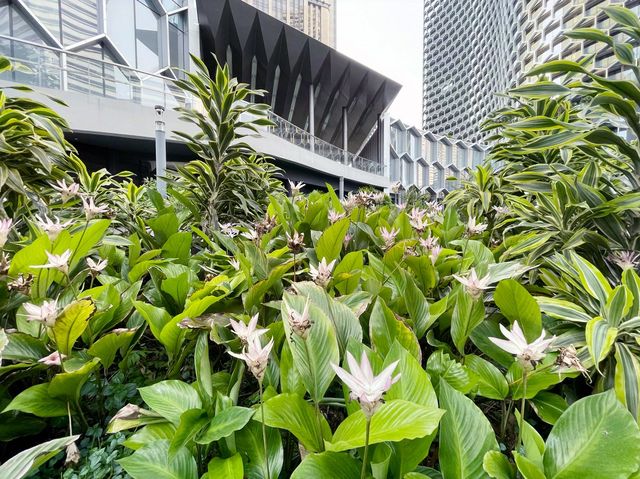 Garden in the city