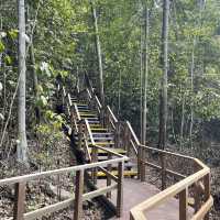 MacRitchie Reservoir and TreeTop Walk! 🌴🍃☀️