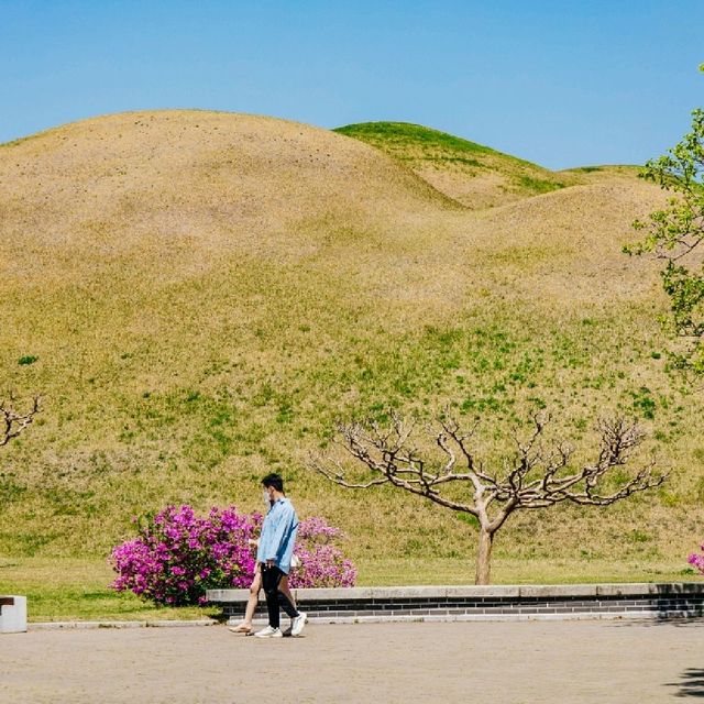 사진 찍기 좋은 경주 유적지 대릉원
