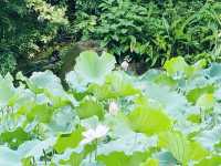 城門谷公園
