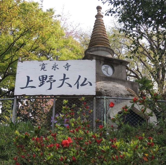賞櫻熱點🌸🌸🌸