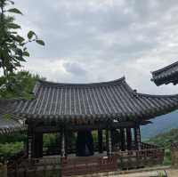 창녕 여행_우포늪, 관룡사