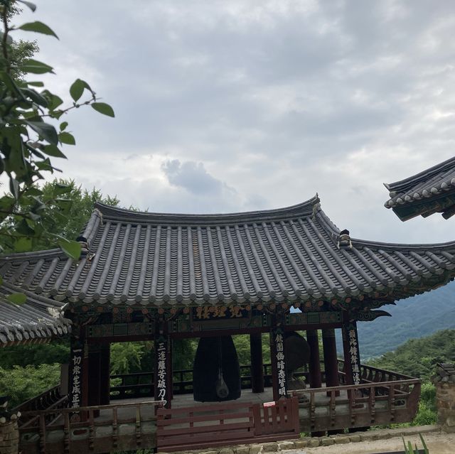 창녕 여행_우포늪, 관룡사