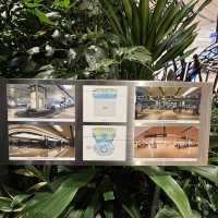 ✈️ Changi Airport mini garden