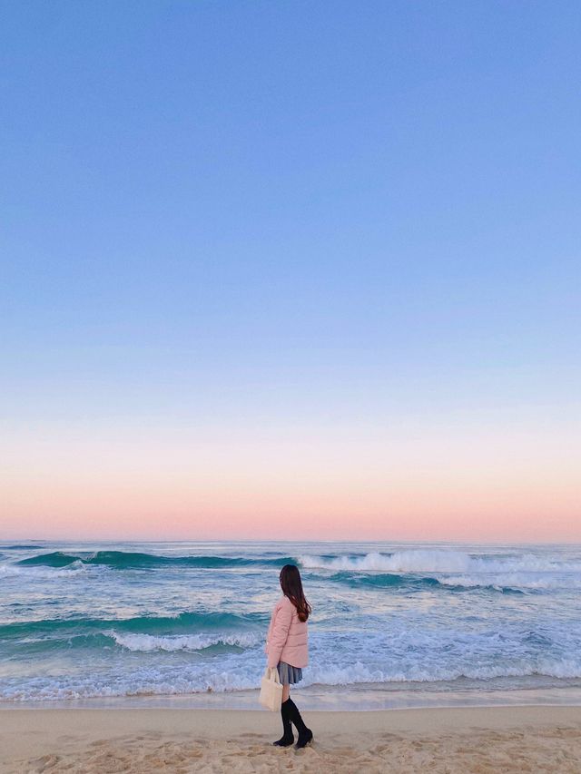 이국적인 해변 양양 ‘서피비치’ 💙