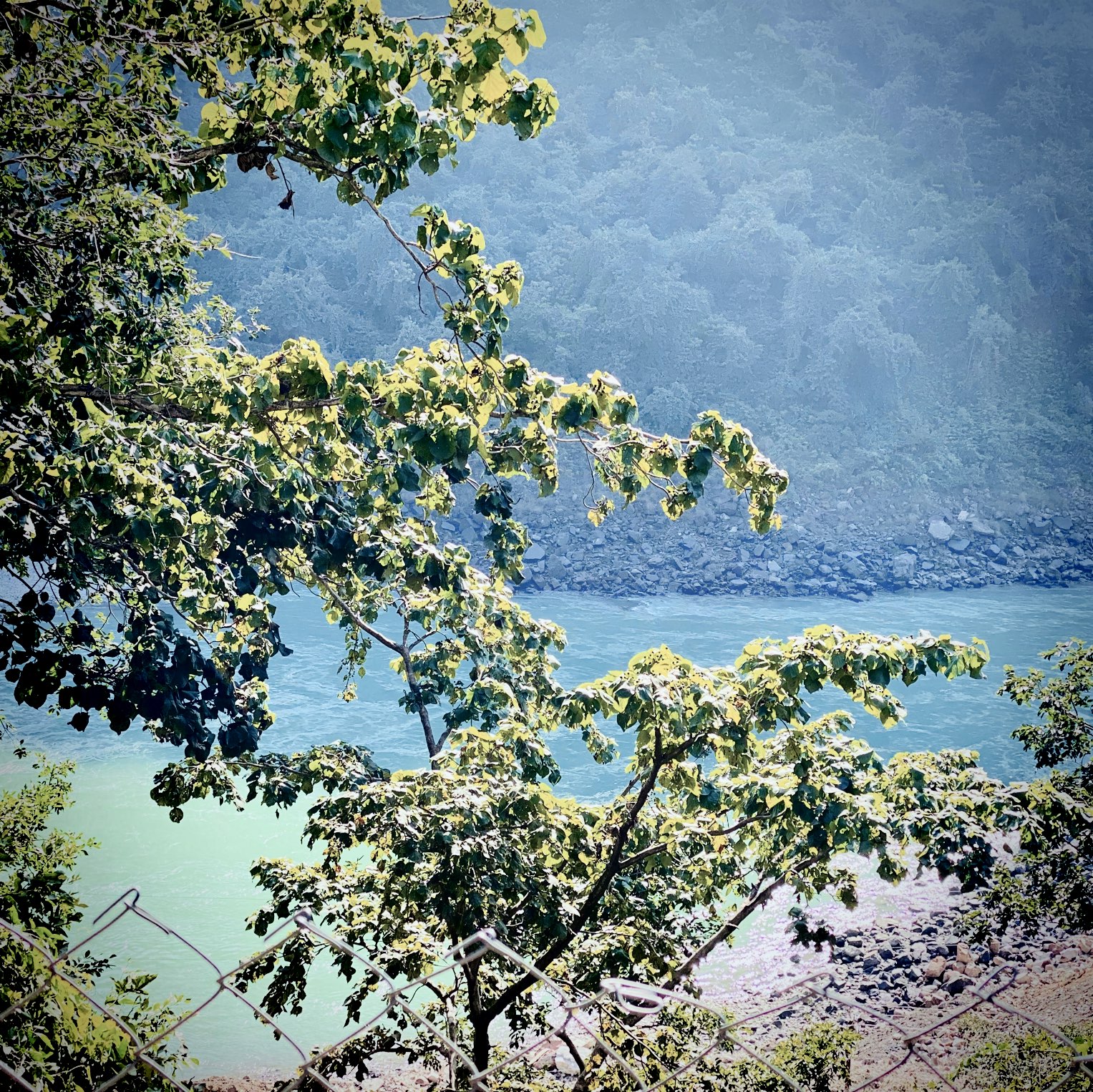 Rishikesh Travel Guide 2024 - Things to Do, What To Eat & Tips | Trip.com