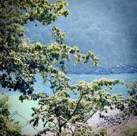 Gateway of Himalayan