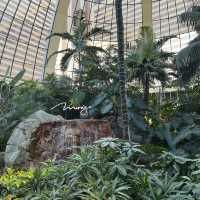 Las Vegas - Mirage Hotel