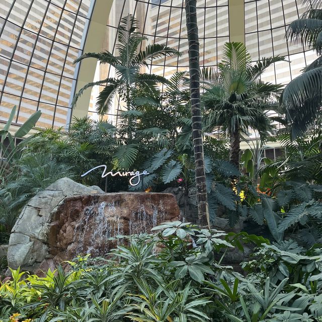 Las Vegas - Mirage Hotel
