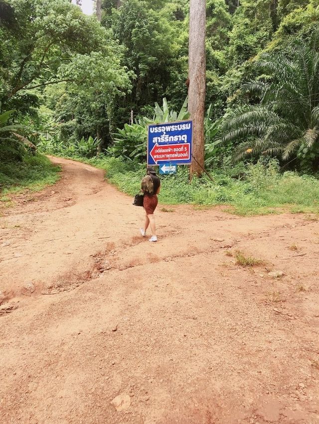 อุทยานธรรมนาในหลวง สุราษฎร์ธานี