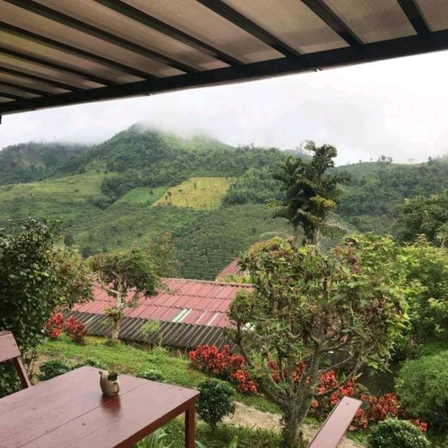 maesalong mountain home