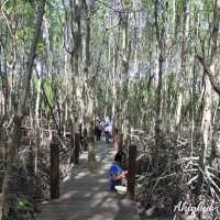 มาศึกษาธรรมชาติกันเถอะ ณ อ่าวคุ้งกระเบน