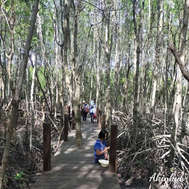 มาศึกษาธรรมชาติกันเถอะ ณ อ่าวคุ้งกระเบน