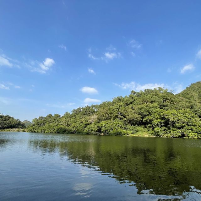 秋高氣爽🍂 流水響📸影落羽杉🌿影天空之鏡🪞