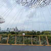 OCBC skyway