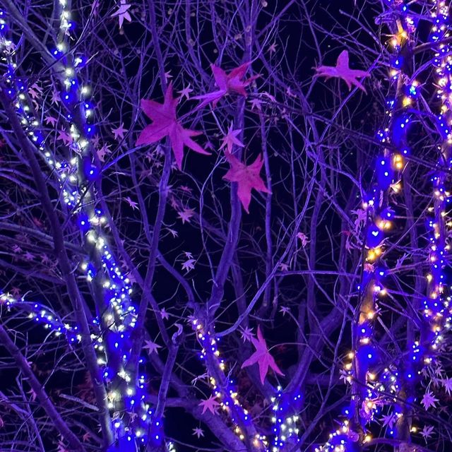 青之洞窟澀谷😍✅日本超夢幻聖誕🎄打卡必到大街😳