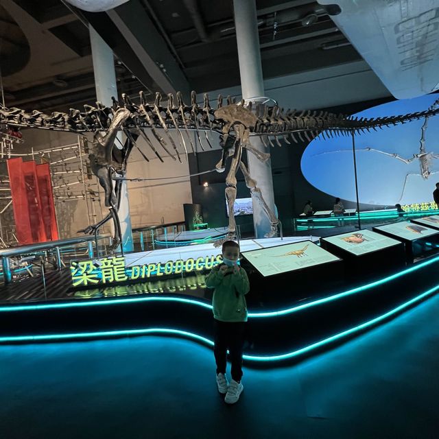八大·尋龍🦖記