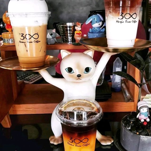300 home brew coffee