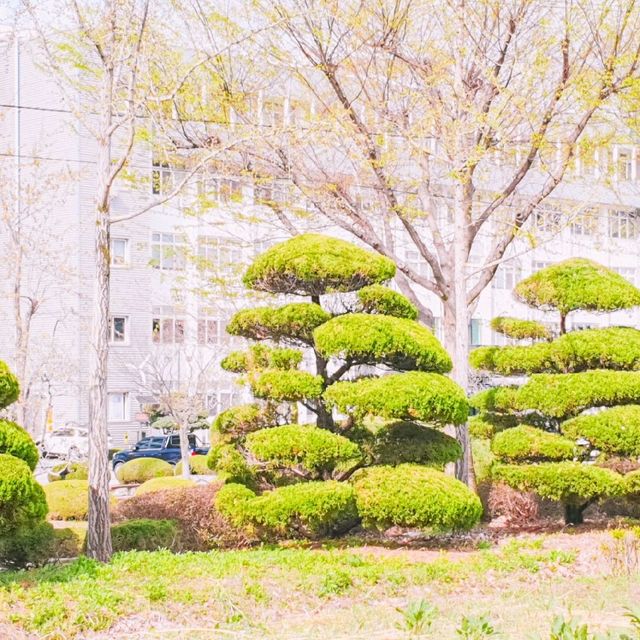 익산의 가볼만한곳!!