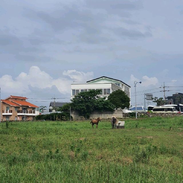 제주 카페 인그리드🏠