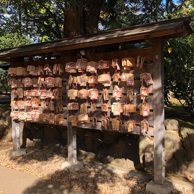 滿滿招財貓🐱日本必去豪徳寺