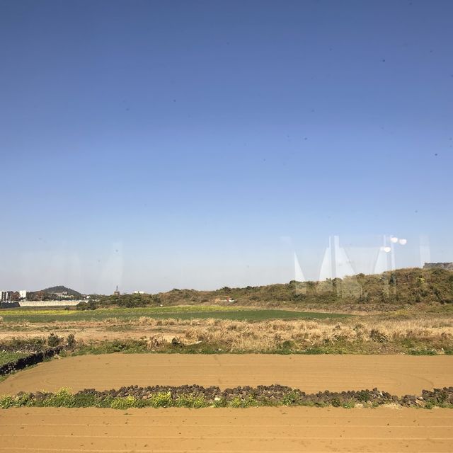 혼자여행 필수코스’ 석예원 본초족욕’