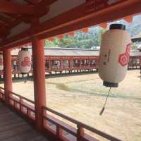 宮島神社⛩️唯一海上鳥居