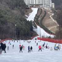 겨울에 빠질 수 없는 스키