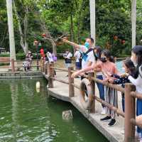 親親小動物 ～ 大棠有機生態園 