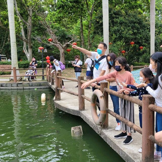 親親小動物 ～ 大棠有機生態園 