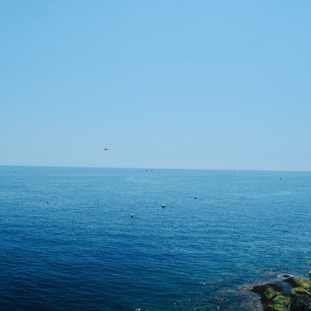 摩納哥海濱靚景
