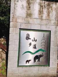 台北101景☀️可愛的象山步道🐘🐾運動運動