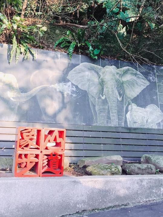 台北101景☀️可愛的象山步道🐘🐾運動運動