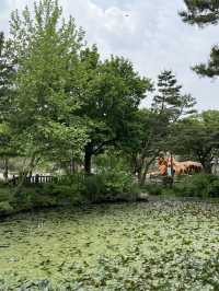 동화 속 풍경을 만날 수 있는 서울대공원 숨은 포토존