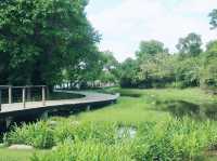 香港濕地公園