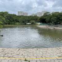 賞花好地方-屯門公園