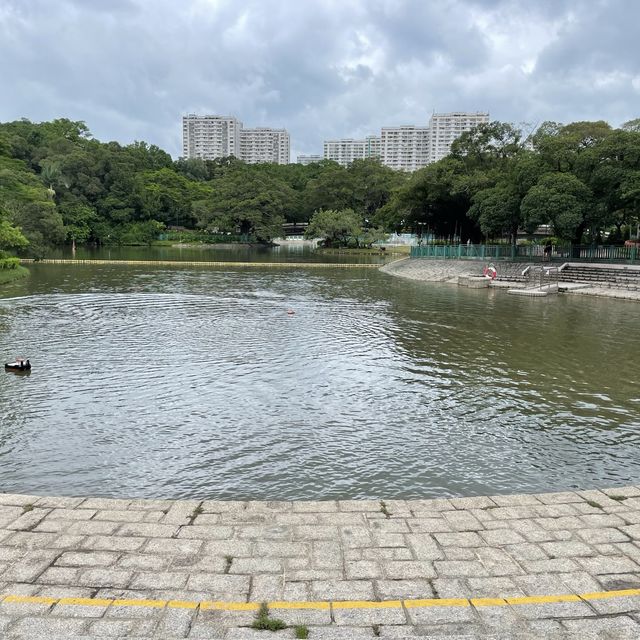賞花好地方-屯門公園