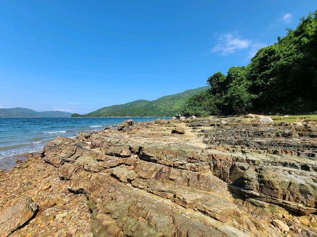 世外桃源系列~荔枝莊🏝️
