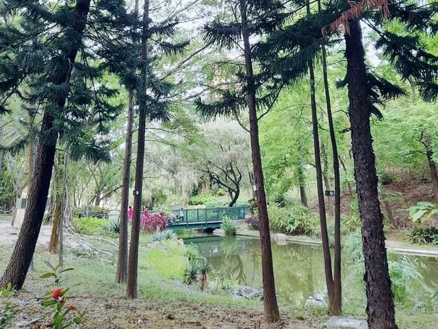 青衣賞花好地方