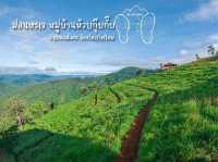 ม่อนหะเว หมู่บ้านห้วยกุ๊บกั๊บ อ.แม่แตง จ.เชียงใหม่