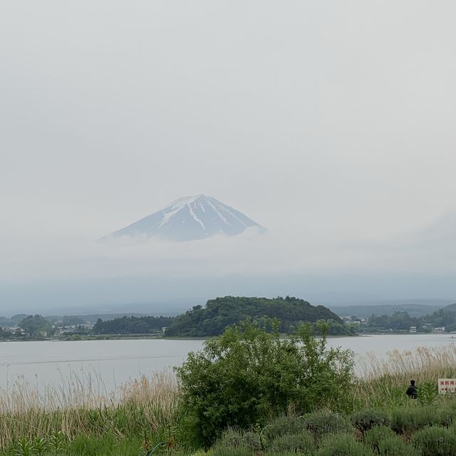 Best lake to view Mount Fuji 🗻 