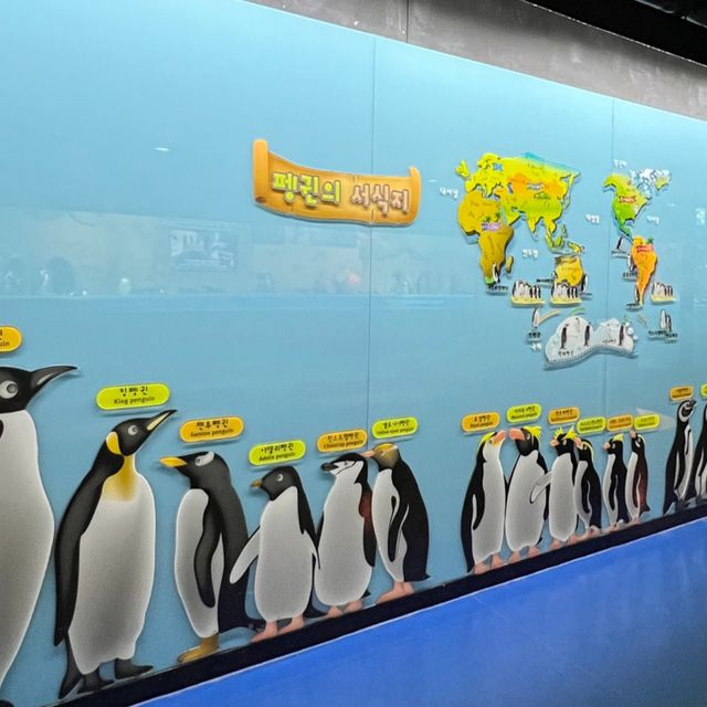 🇰🇷 COEX Aquarium Penguin Island