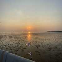 ให้อาหารนก ที่บางปู