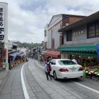 成田「新勝寺」+「表參道」